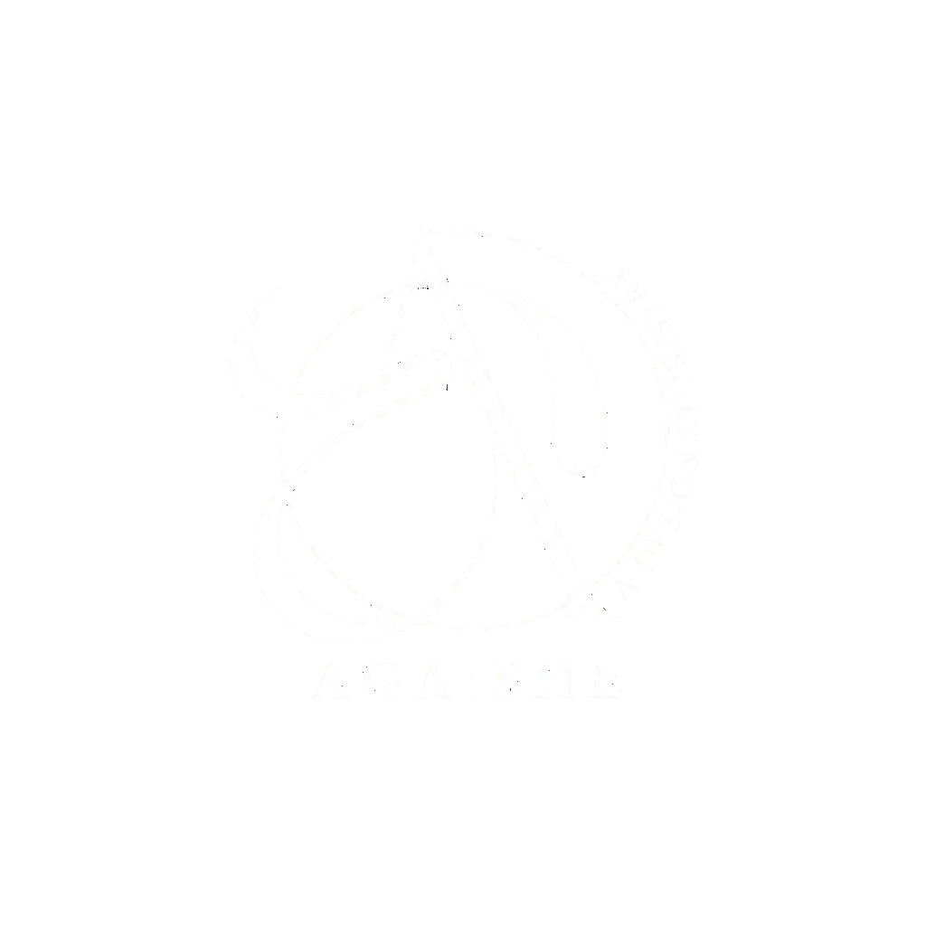 aga-transparent-logo